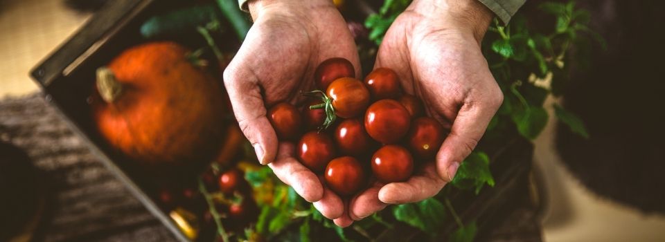 Pourquoi manger bio ?